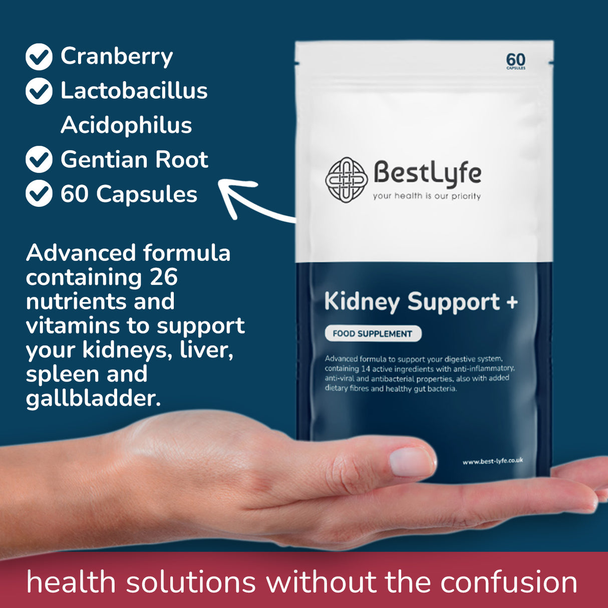 Supports Kidneys, Liver, Spleen and Gallbladder