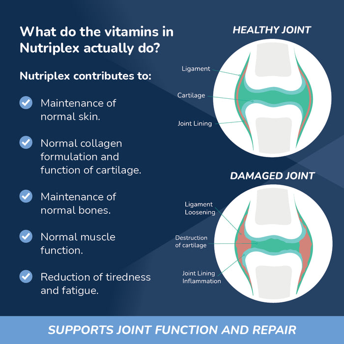 How Nutriplex helps joint health with collagen