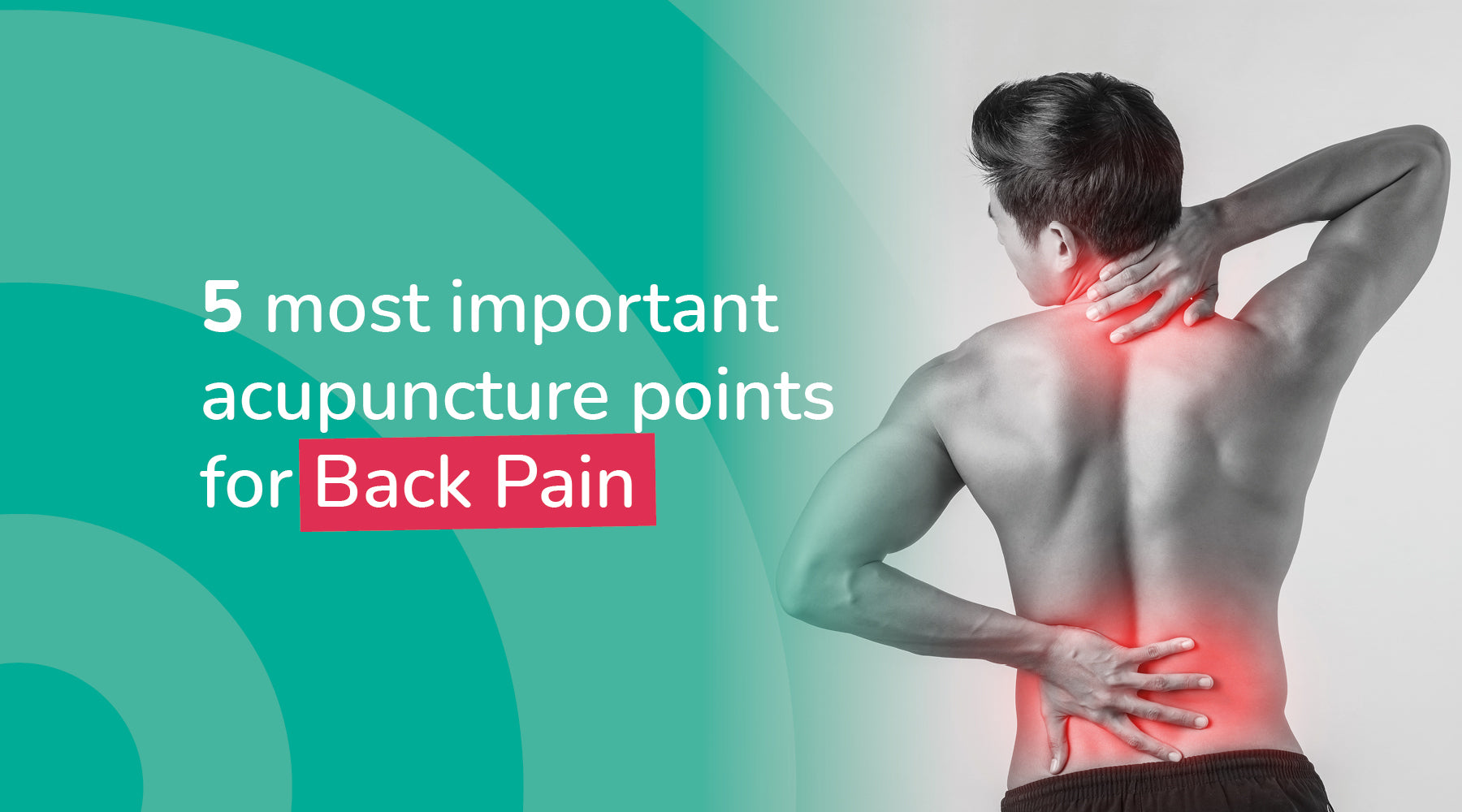 5 Most Important acupuncture Points for Back Pain