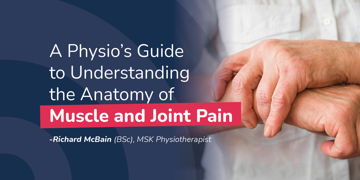 A Physio’s Guide to Understanding the Anatomy of Muscle and Joint Pain