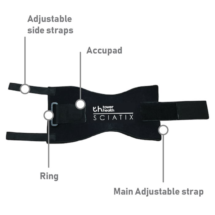 Sciatix Diagram highlighting the different elements