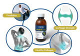 Joint Elixir - 100ml  - Buy 3 Get 3 FREE