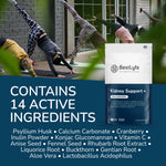 Bestlyfe Kidney Support Supplements