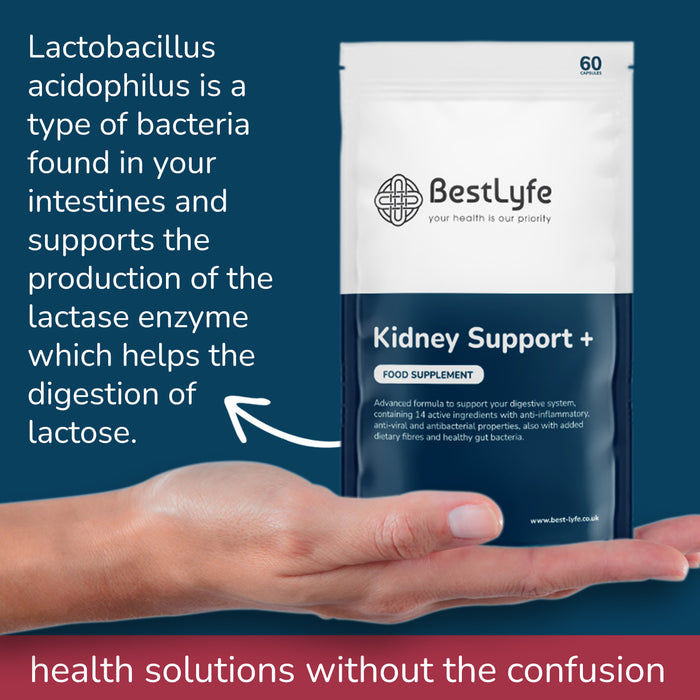 Kidney Support+ Poster to help Lactose breakdown