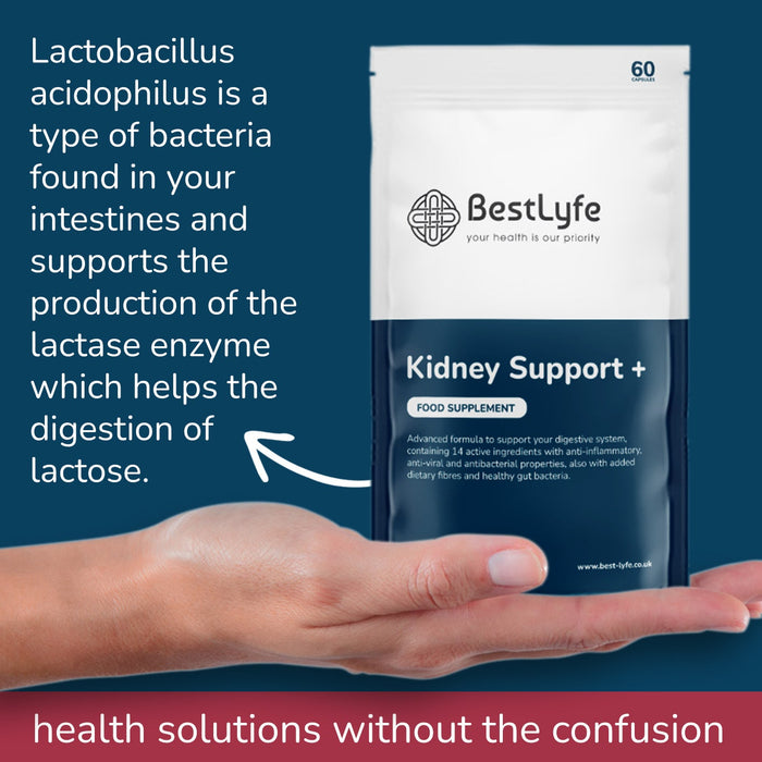 Subscription Bestlyfe Kidney Support+